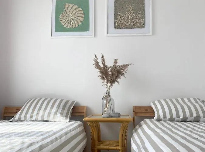 U Lisków Apartament *